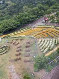 【雨の日で幻想的なハーブ園】神戸布引ハーブ園