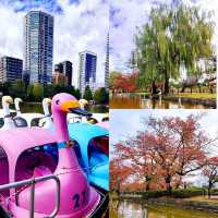 Fun Swan Paddleboats at Shinobazu Pond