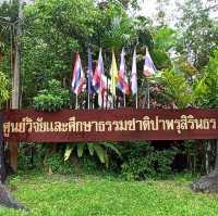 ป่าพรุผืนสุดท้าย.. ป่าพรุโต๊ะแดง​ นราธิวาส​