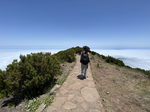 葡萄牙外島-Madeira上山下海之旅
