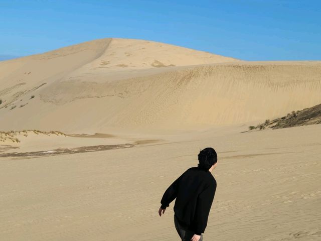 뉴질랜드에도 사막이 있는거 아셨나요?
