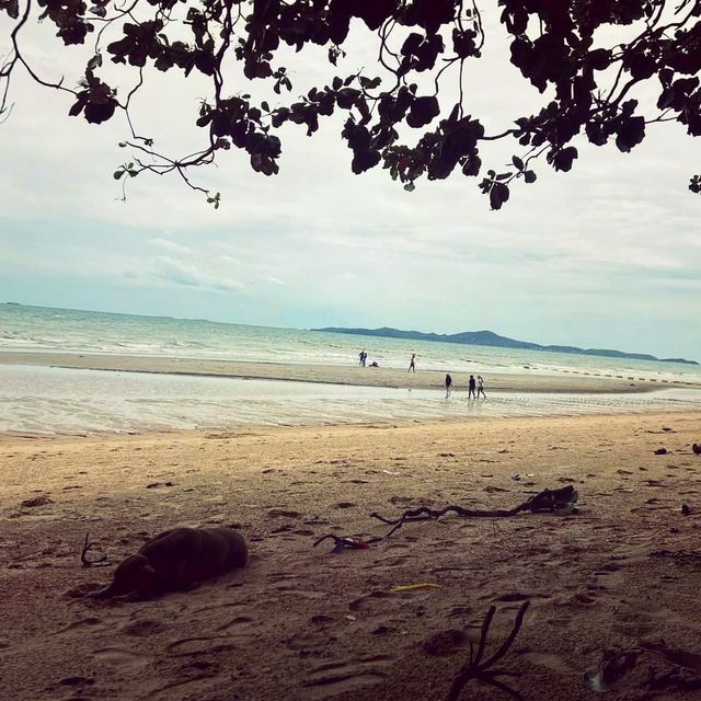 หาดจอมเทียน ชลบุรี🏖️🏖️