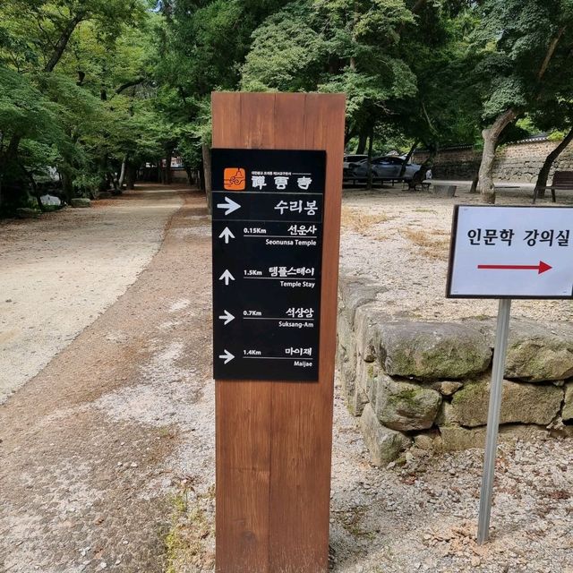 일제에서 돌아온 지장보살