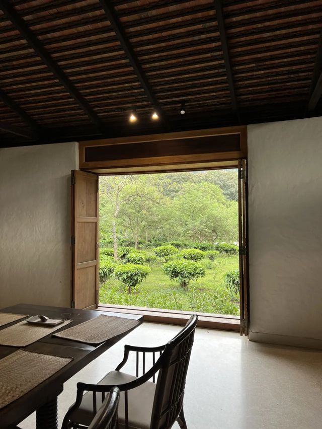 Araksa Tea Garden | Chiang Mai🌿