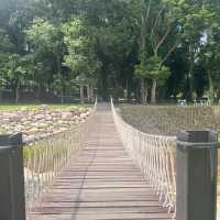 คาเฟ่วิวสวยก่อนขึ้นเขาใหญ่