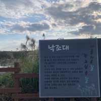 철새와의 즐거운 만남, 주남저수지