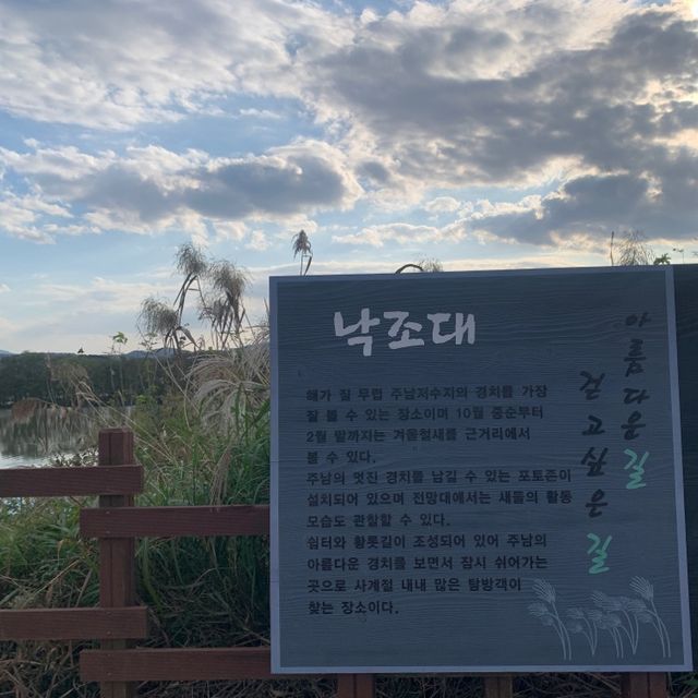 철새와의 즐거운 만남, 주남저수지