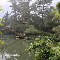 我思好景常青戀情永在的懷念-養身養性