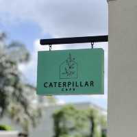 Caterpillar cafe