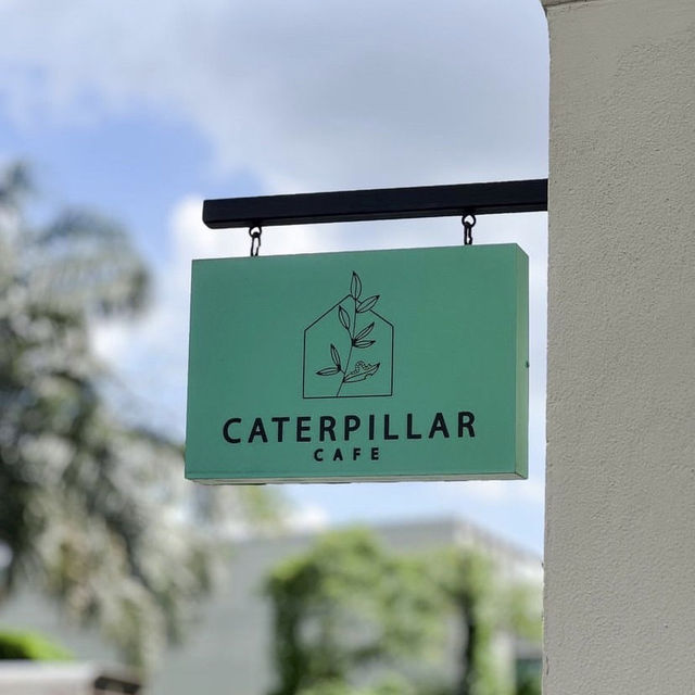 Caterpillar cafe