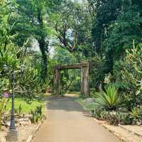【インドネシア】壮大な植物園　“Kebun Raya Bogor”