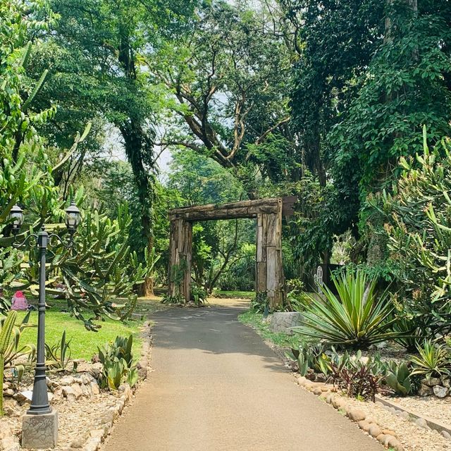 【インドネシア】壮大な植物園　“Kebun Raya Bogor”