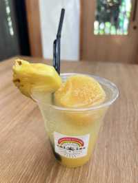 沖繩｜親子好去處 去逛逛超可愛的名護鳳梨公園🍍