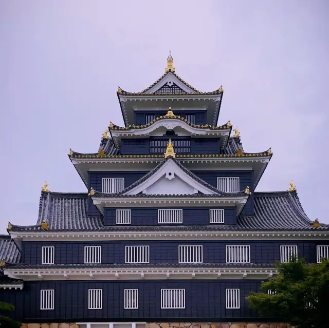 Experience Okayama Castle in a day