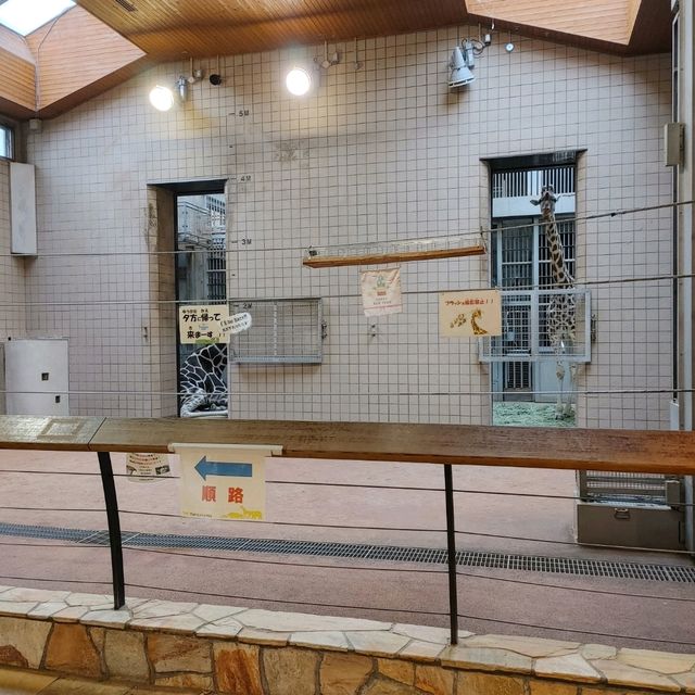わかりやすい！大阪eco動物海洋専門学校　天王寺動物園