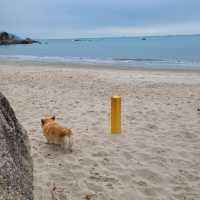 本地離島自由行～～大嶼山