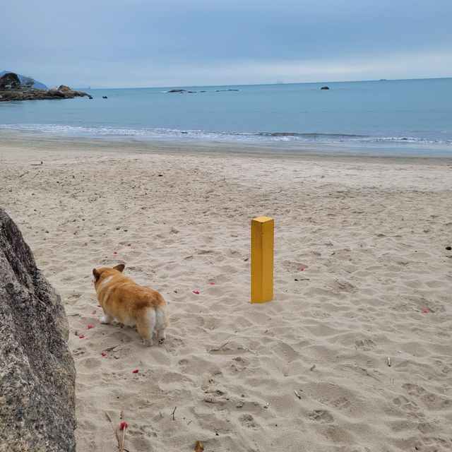 本地離島自由行～～大嶼山