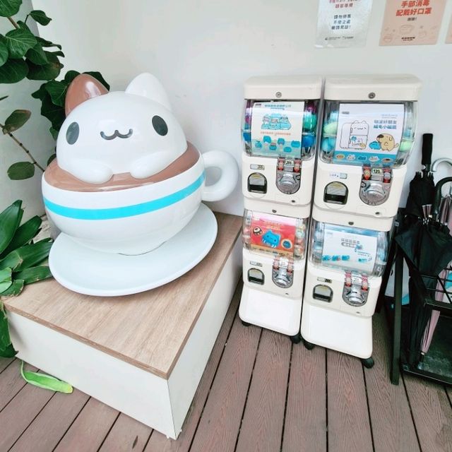 Foam Cat Cafe in Taichung