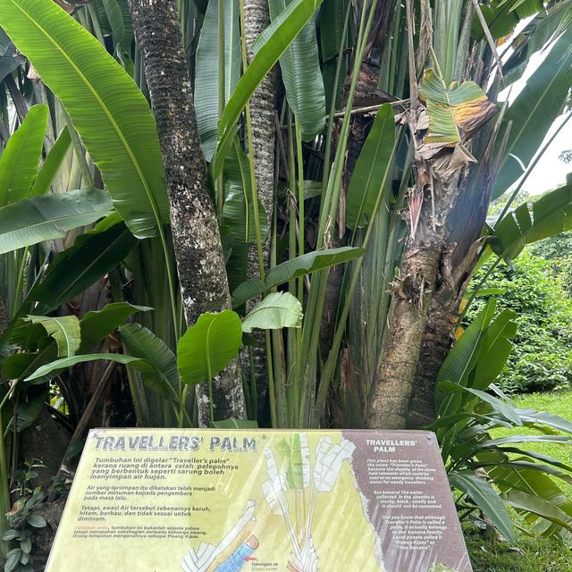 大自然教學的好去處