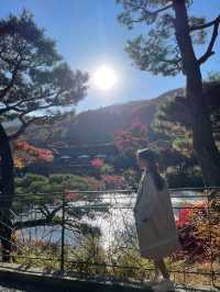 가을 단풍 명소 ‘화담숲’ 🍁🍁