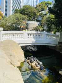 一次過欣賞各色各樣花卉  在市中心盛放📍香港公園