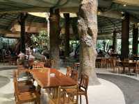 ร้านอร่อย บรรยากาศเหมือนทานในป่า ร่มรื่นมาก