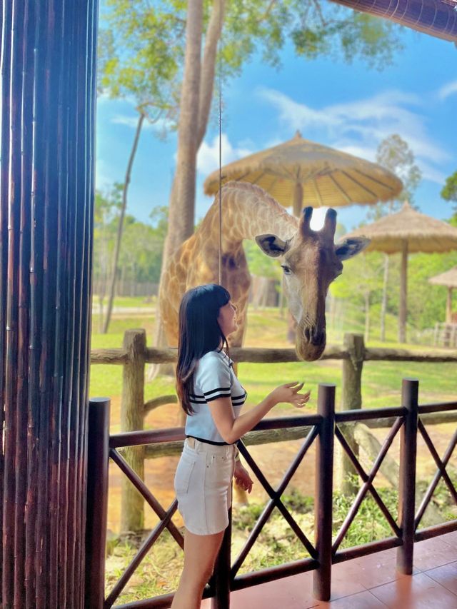 🇻🇳베트남의 몰디브, 푸꾸옥이 궁금해? 