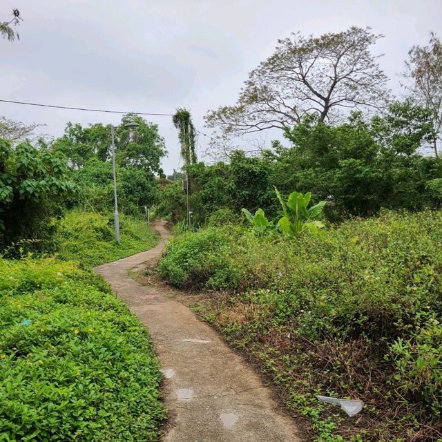 坪洋壁畫村