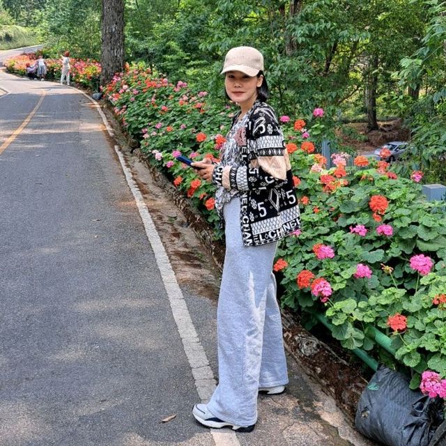พระตำหนักภูพิงคราชนิเวศน์  เชียงใหม่