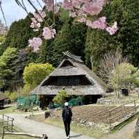 Saiko Iyashino- Sato Nenba