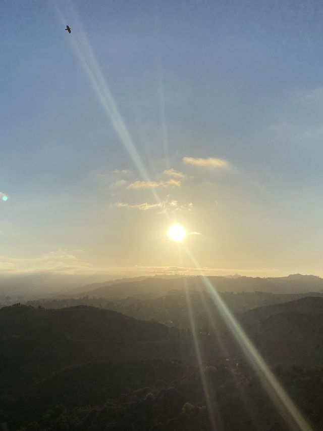 그리피스 야경만 보러간다고? 낮부터 올라가야하는 이유💫
