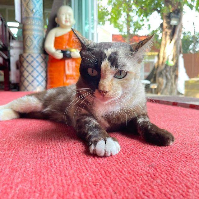 วัดหงส์รัตนารามราชวรวิหาร