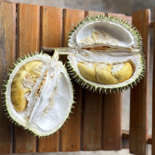 ตะลุยกินทุเรียนหน้าสวน จ. พังงา
