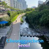 เดินเล่นริมคลอง Cheonggyecheon เกาหลีใต้