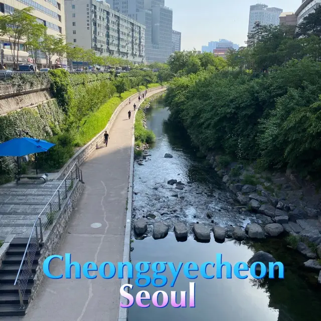 เดินเล่นริมคลอง Cheonggyecheon เกาหลีใต้