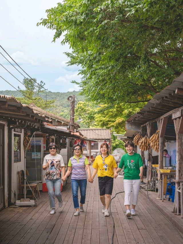 라벤더 축제를 볼 수 있는 이곳"허브아일랜드"