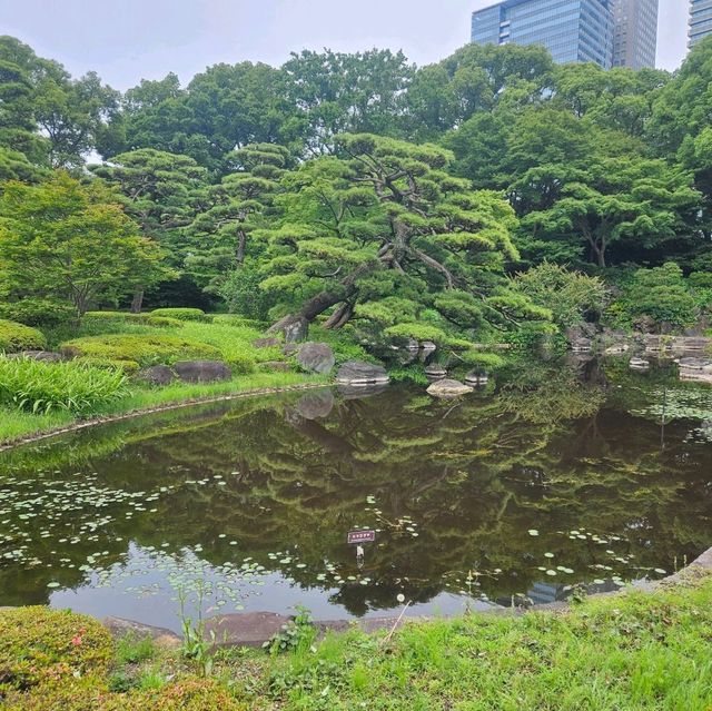 欣賞江户時代庭園風貌回遊式庭園@皇居東御苑