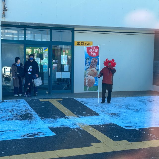【北海道】オホーツク海をのぞむ！流氷物語号