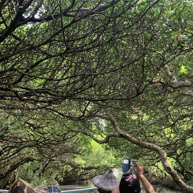 台南景點-四草綠色隧道