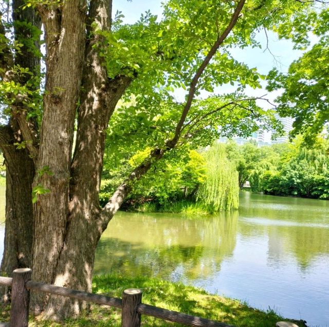 初夏的札幌“中島公園”