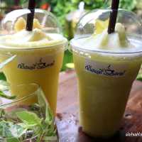 กรีนเนอรี่ คาเฟ่ @อัมพวา