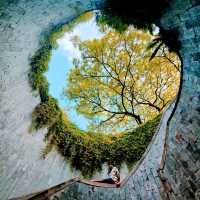 A must visit attraction for best photos! 