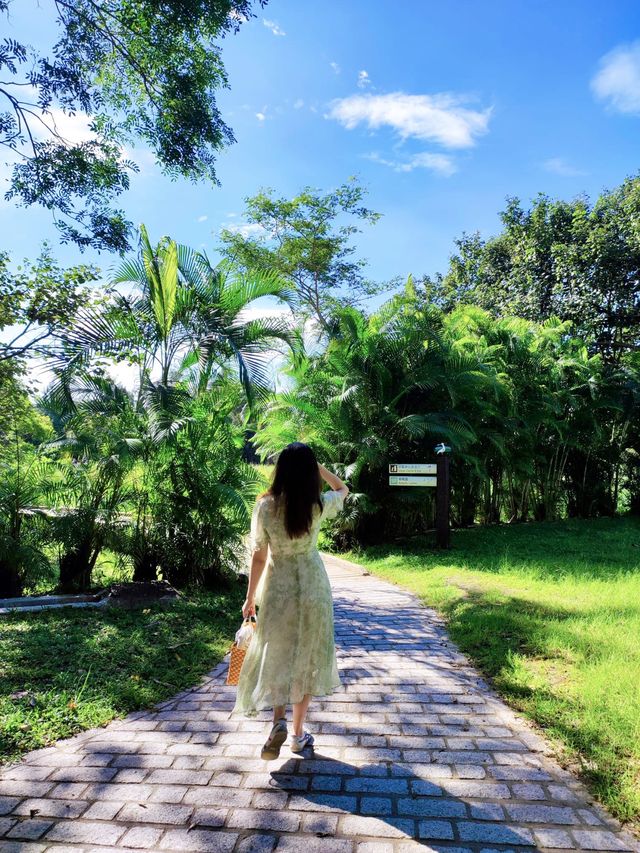香港的世外桃源｜濕地公園真的很美！