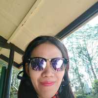 Dahilayan Adventure Park