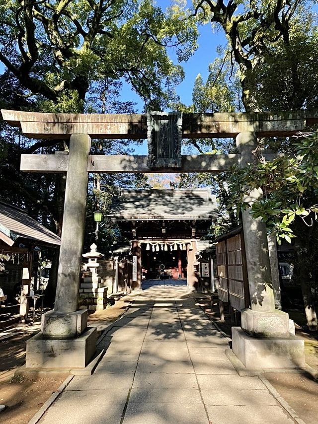【東京都/赤坂氷川神社】生け花スタイルの花手水のある神社