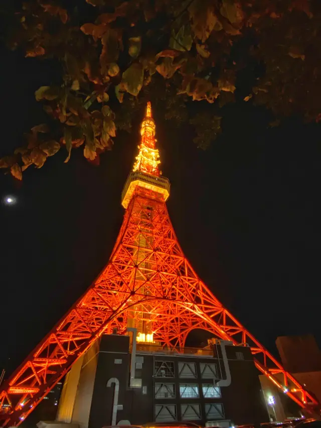 Tokyo Tower at night🗼