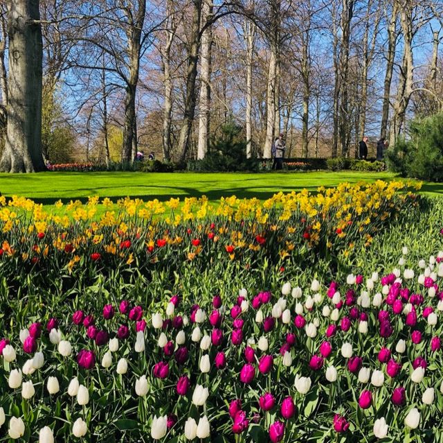 荷蘭🇳🇱利瑟· 藝術雕像美侖美奐⛲️Keukenhof庫肯霍夫花園