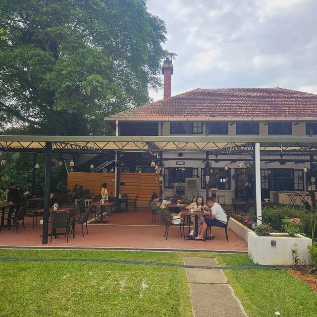 Afternoon Hi-Tea at David Brown's Mansion