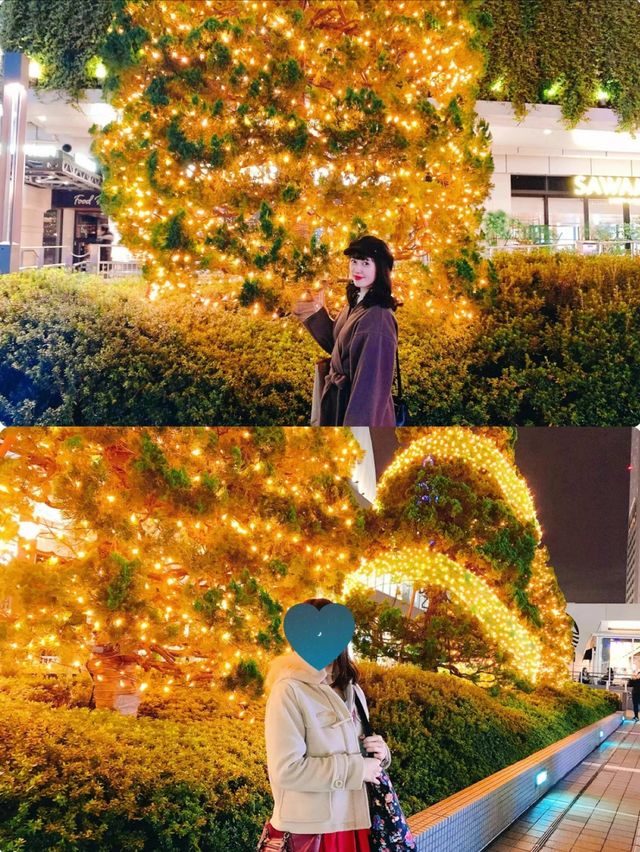 イルミネーションどこ行く？この冬行きたいキラキラスポット4選🥺💖❄️【関東編】