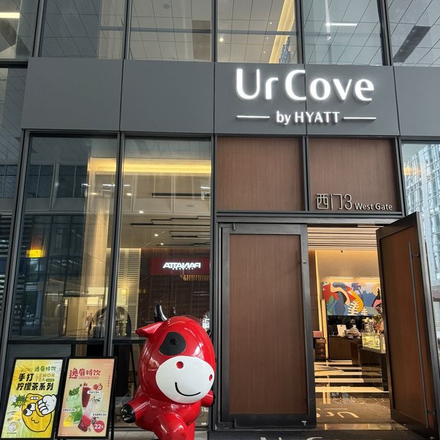 有塊魔鏡隨時都喺酒店房做運動🏋️🫶🏻 🎽